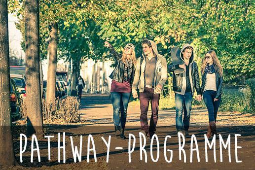 Pathway-Programme web