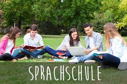 Sprachschule web