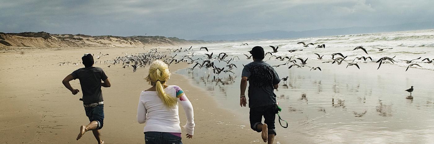 Beach Scene CSUMB