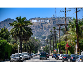 University of California Los Angeles (UCLA)