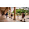 University of Queensland (Go8)