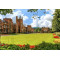 Queen's University Belfast