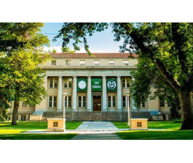 Colorado State University