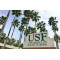 University of South Florida